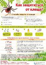 «Как защититься от клеща?»