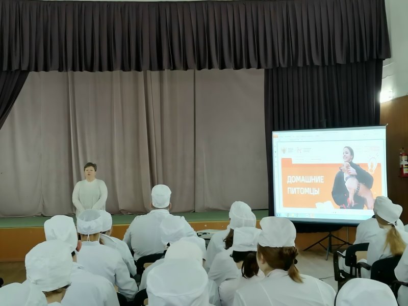 Домашние питомцы